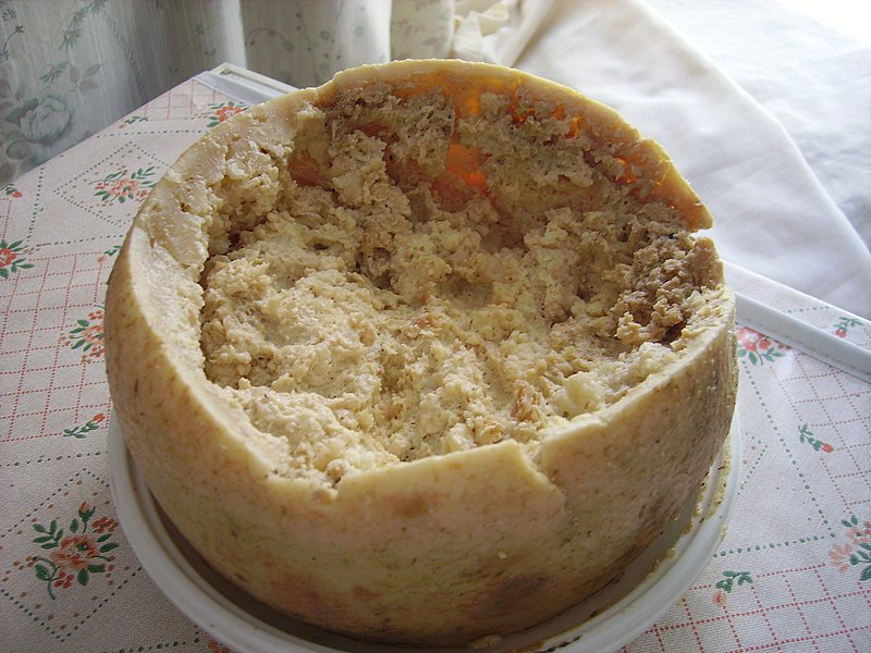 All About Casu Marzu: the cheese with maggots